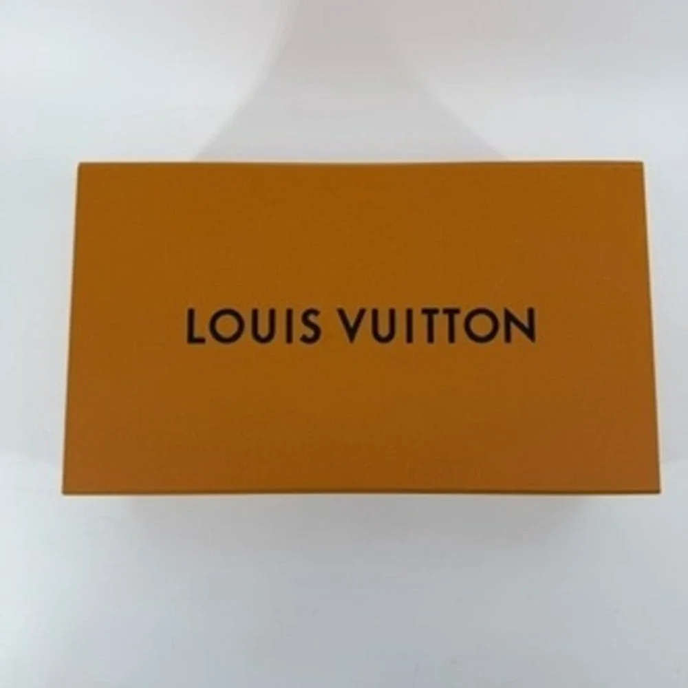Louis Vuitton authentic louis